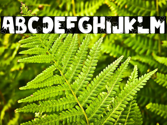 Zombie City Example 1