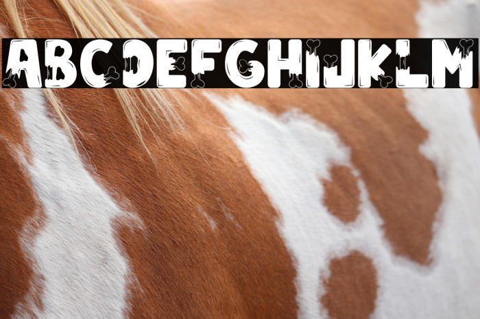 Zombie City Example 3