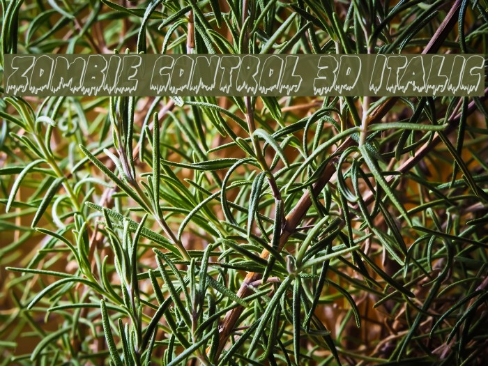 Zombie Control 3D Italic Font examples