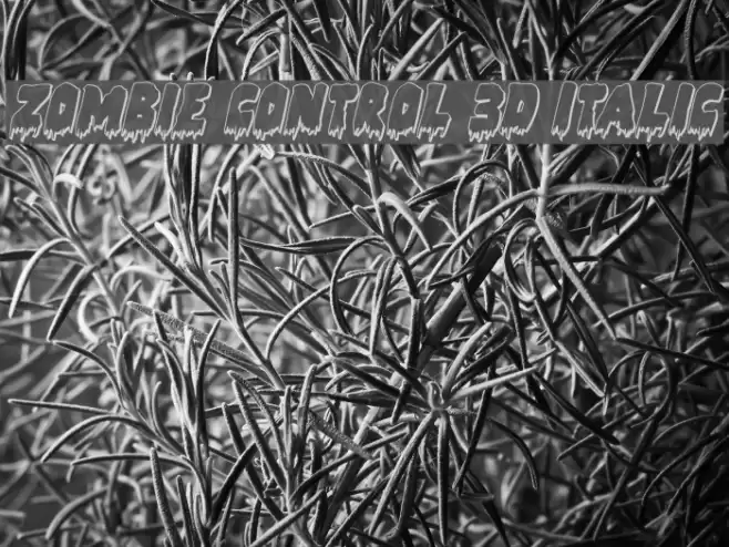 Zombie Control 3D Italic Font examples
