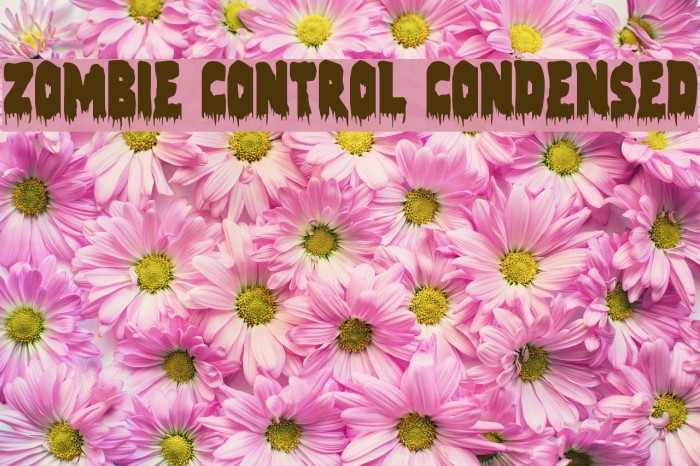 Zombie Control Condensed Font examples