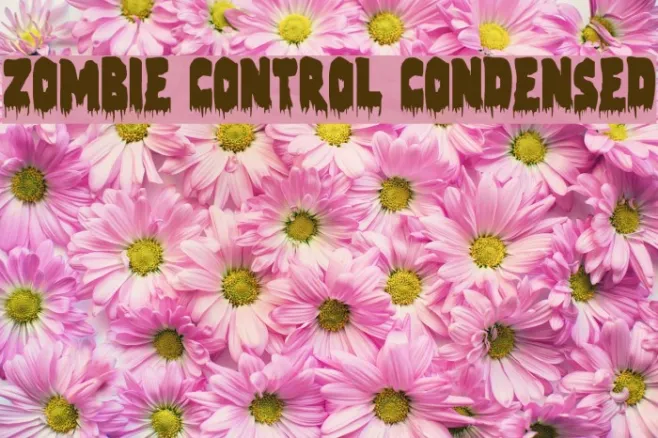 Zombie Control Condensed Example 3