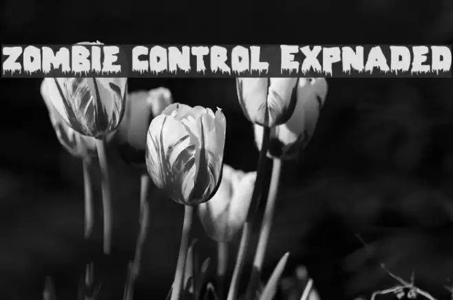 Zombie Control Expnaded Font examples