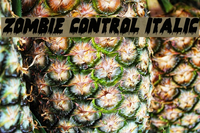 Zombie Control Italic Font examples