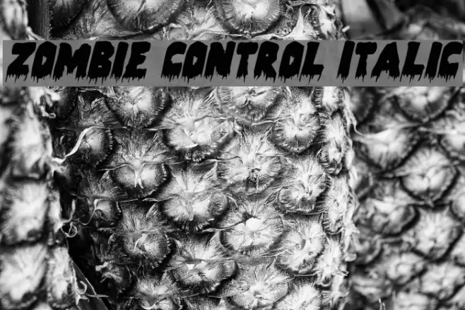 Zombie Control Italic 字体 examples