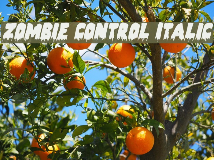 Zombie Control Italic Font examples