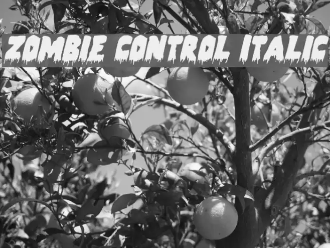 Zombie Control Italic 字体 examples
