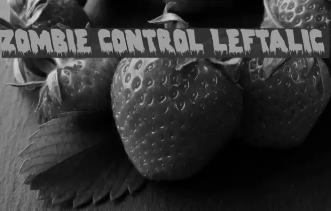 Zombie Control Leftalic Font examples