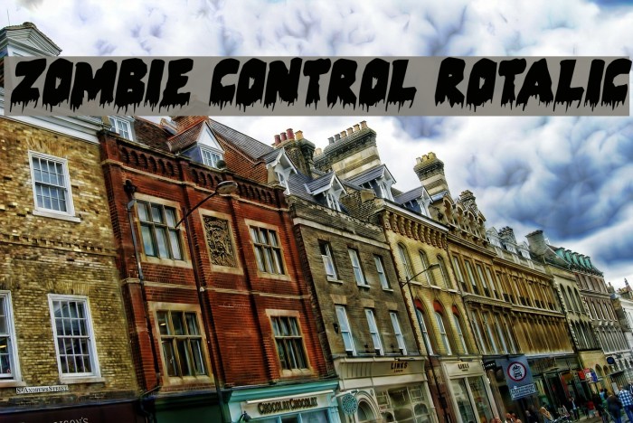 Zombie Control Rotalic Font examples