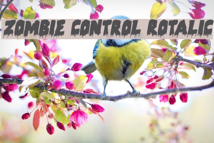 Zombie Control Rotalic Font examples