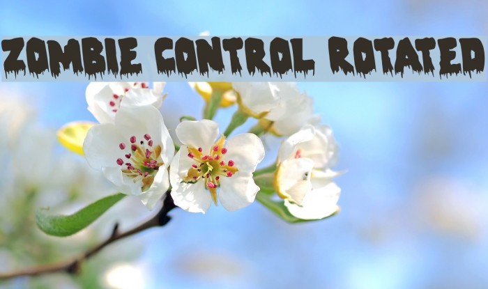 Zombie Control Rotated Font examples