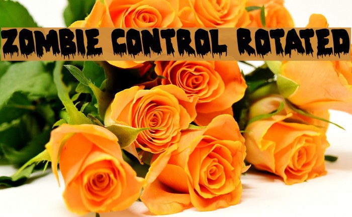 Zombie Control Rotated Font examples