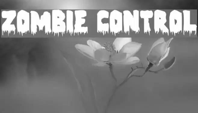 Zombie Control Font examples