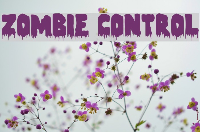 Zombie Control Font examples