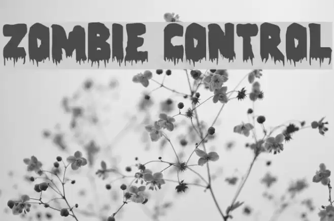 Zombie Control Font examples