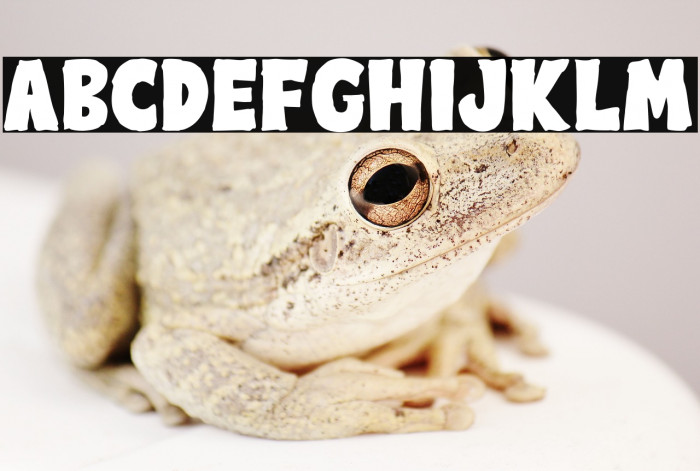 Zombie Monster Example 2