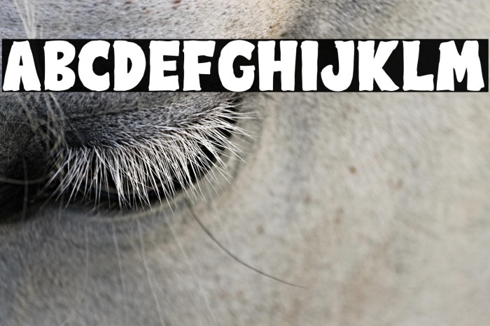 Zombie Monster Example 3