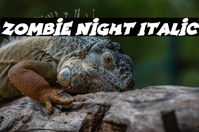 Zombie Night Italic Example 1
