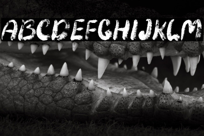 Zombie Predator Example 2