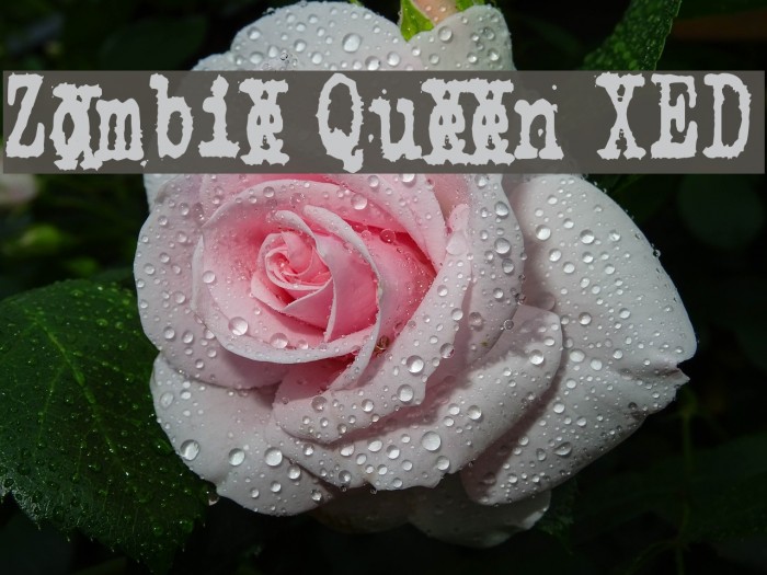 Zombie Queen XED Font examples