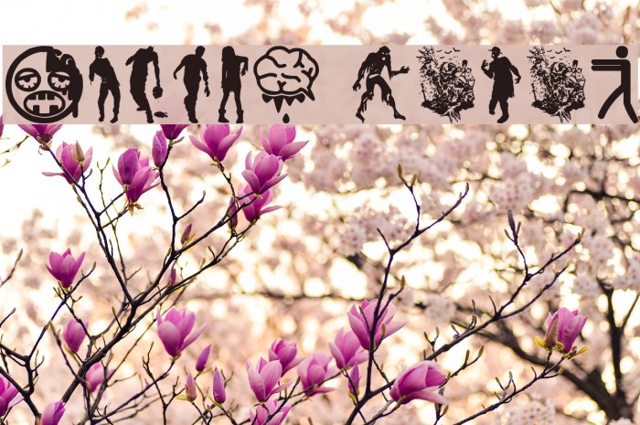 Zombie Salad Example 1