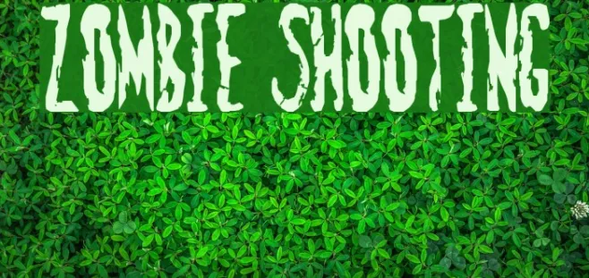 Zombie Shooting Example 3