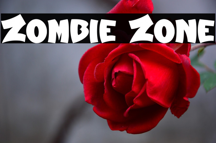 Zombie Zone Example 1