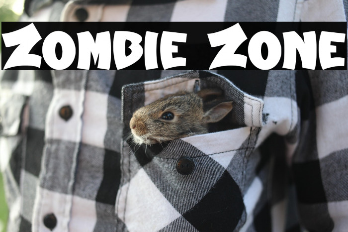 Zombie Zone Example 2