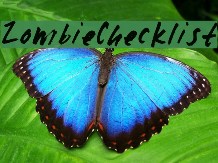 ZombieChecklist Example 1