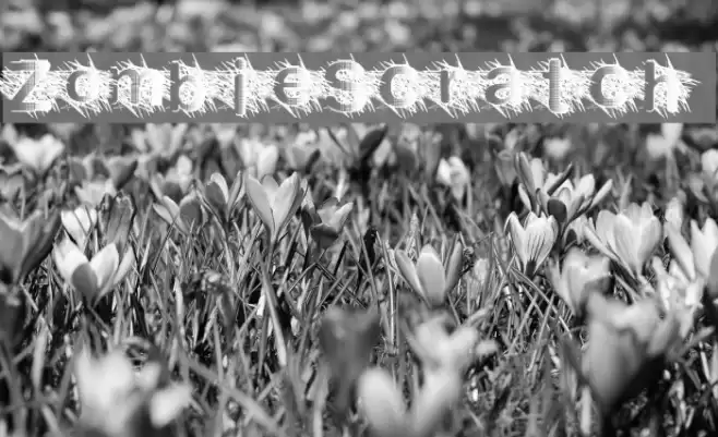 ZombieScratch Font examples