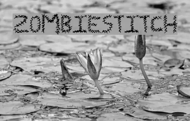 ZombieStitch Font examples