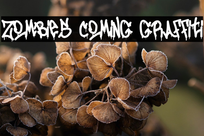 Zombies Coming Graffiti Example 1