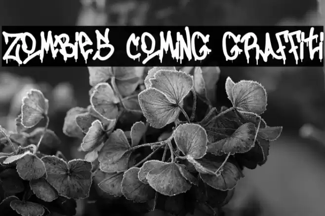 Zombies Coming Graffiti Font examples