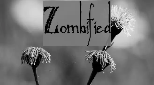 Zombified Font examples