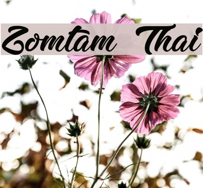 Zomtam Thai Font examples