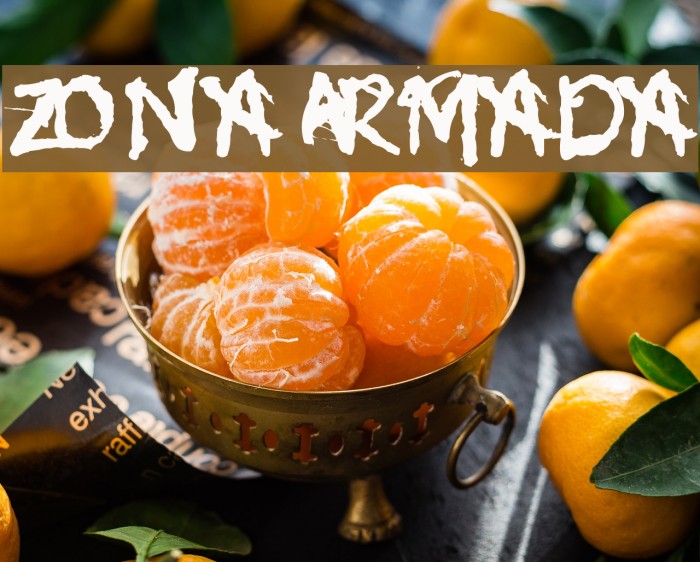 Zona Armada Font examples