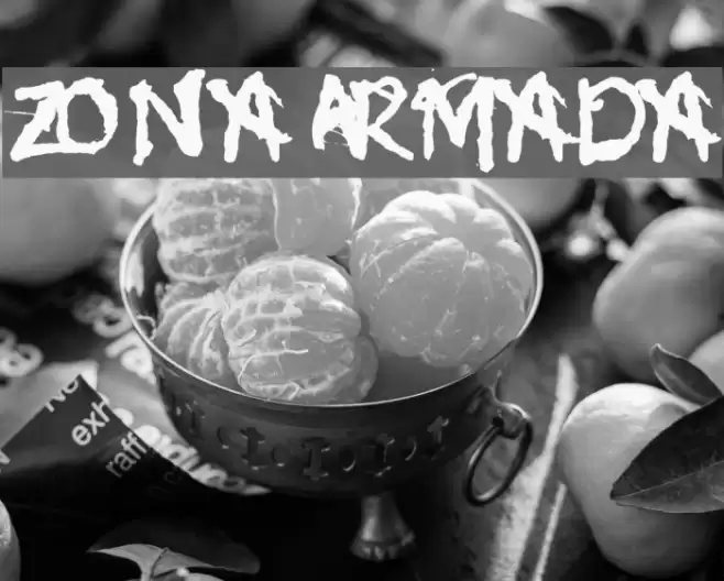 Zona Armada Font examples
