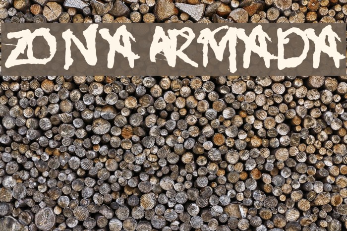 Zona Armada Font examples