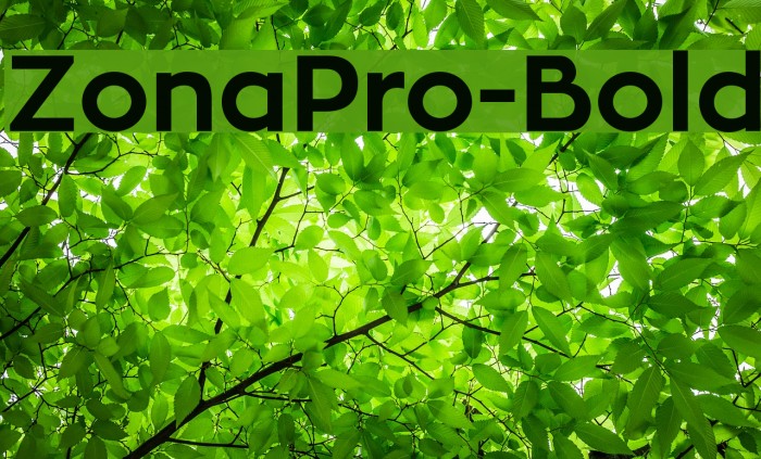ZonaPro Bold Font FFonts