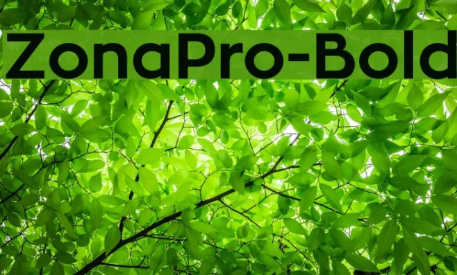 ZonaPro-Bold Example 1