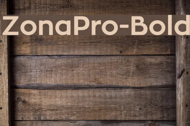 ZonaPro-Bold Example 3
