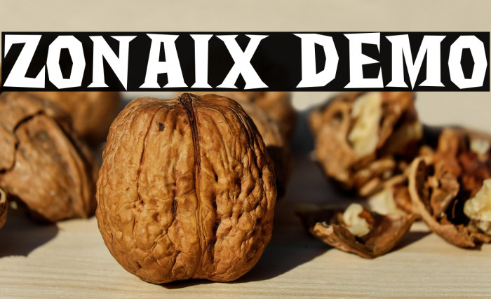 Zonaix DEMO Example 1