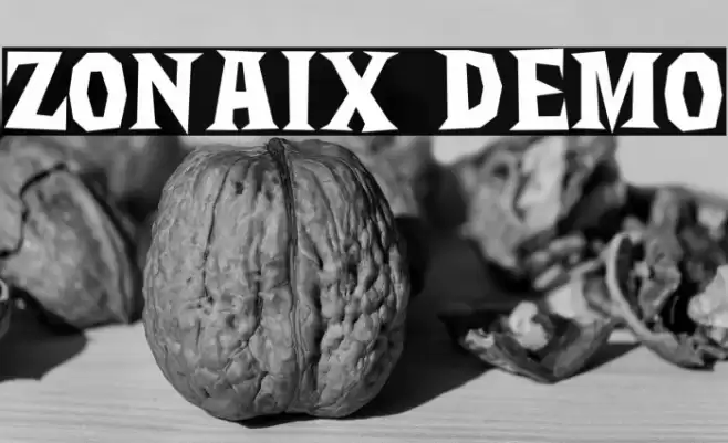 Zonaix DEMO Font examples