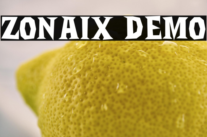 Zonaix DEMO Example 2