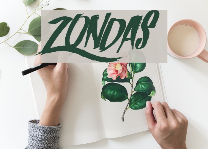 Zondas Font examples