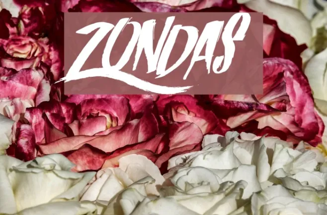 Zondas Example 3