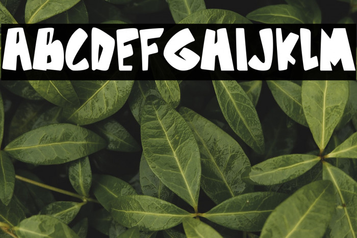 Zone Brown Example 2