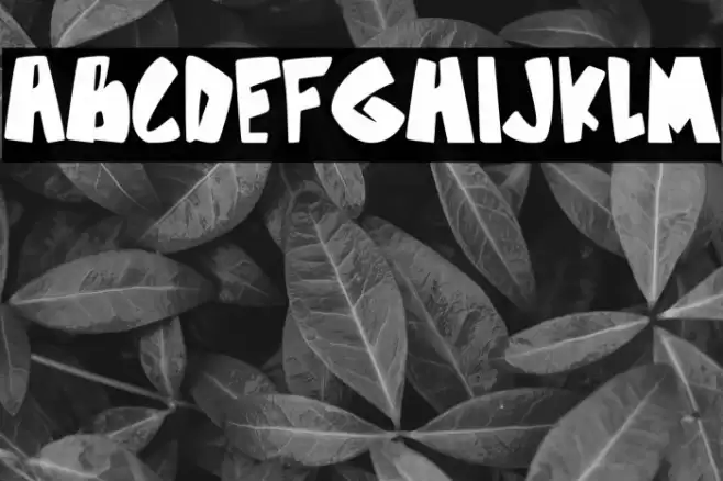 Zone Brown Font examples