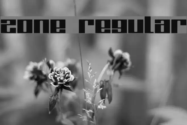 Zone Regular Fuentes examples