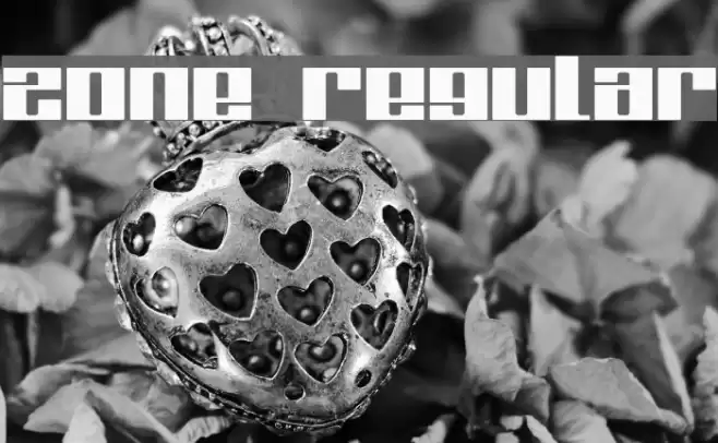 Zone Regular Fuentes examples